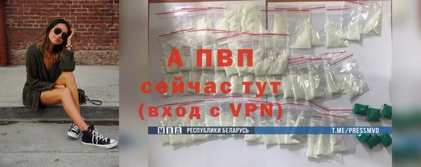 Альфа ПВП Верея