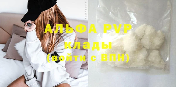 Альфа ПВП Верея
