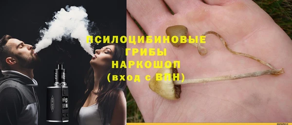 Альфа ПВП Верея