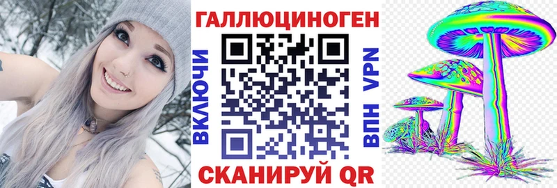 Псилоцибиновые грибы Psilocybine cubensis  Купить где  Неман 